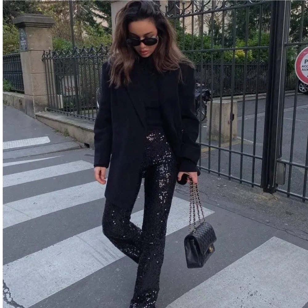 ZARA Shimmery Full Length Flared Pants